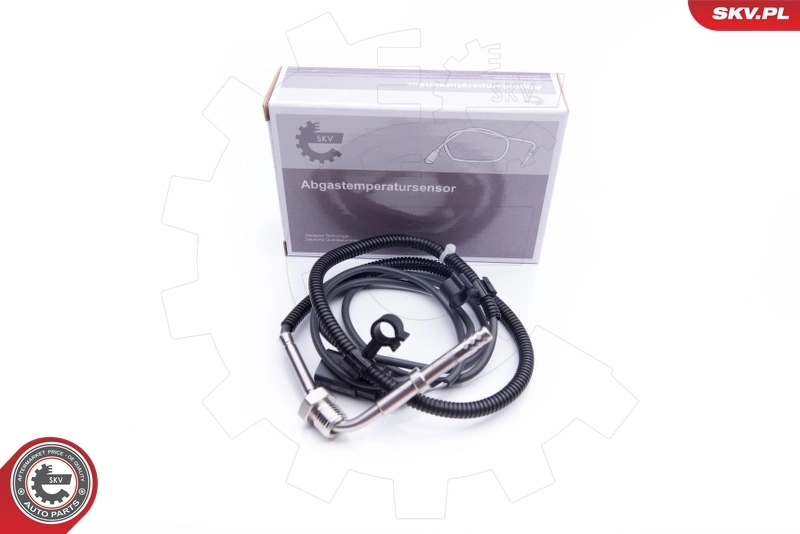 Sensor, exhaust gas temperature